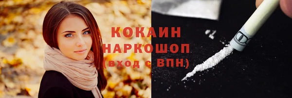 гидра Дмитров