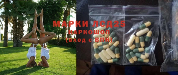 гидра Дмитров