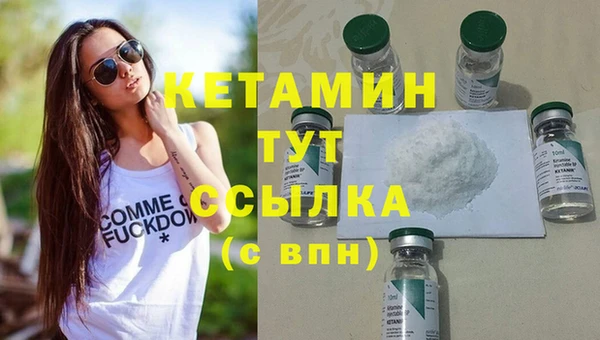 гидра Дмитров