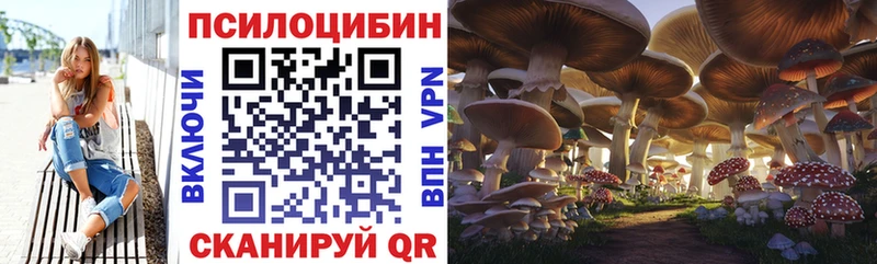 Купить где  Руза  Галлюциногенные грибы ЛСД 